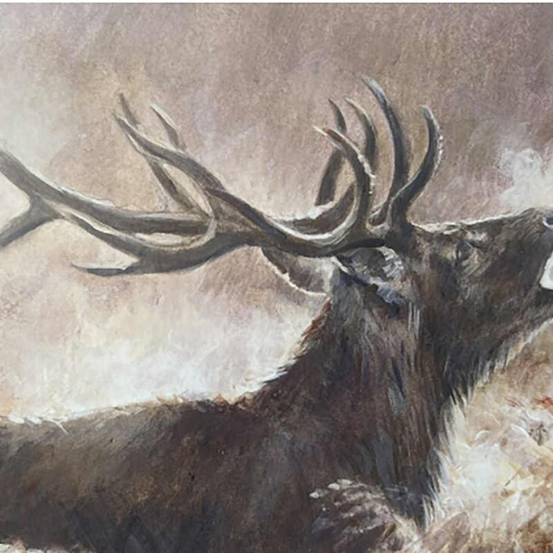 Caroline Cook Equestrian Card - The Roaring Stag