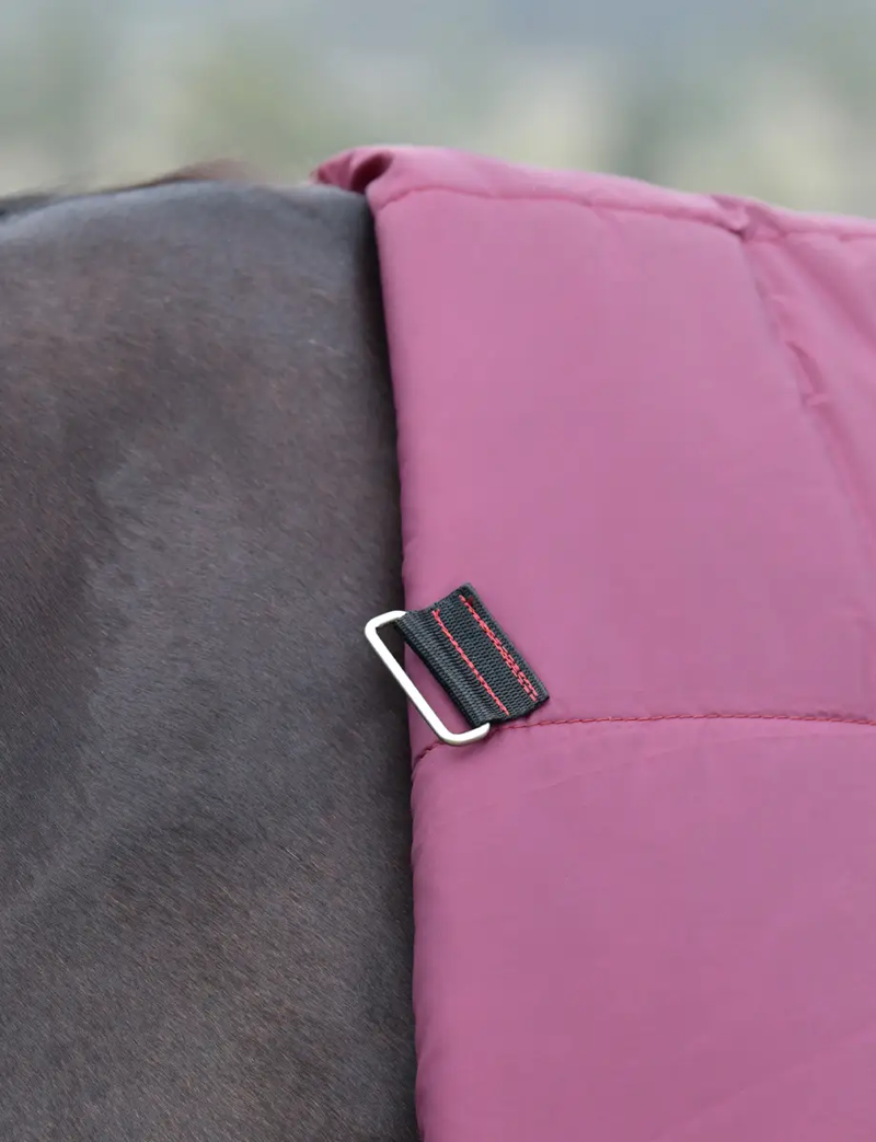 WeatherBeeta ComFiTec Essential 100g Turnout - Burgundy/Navy-3