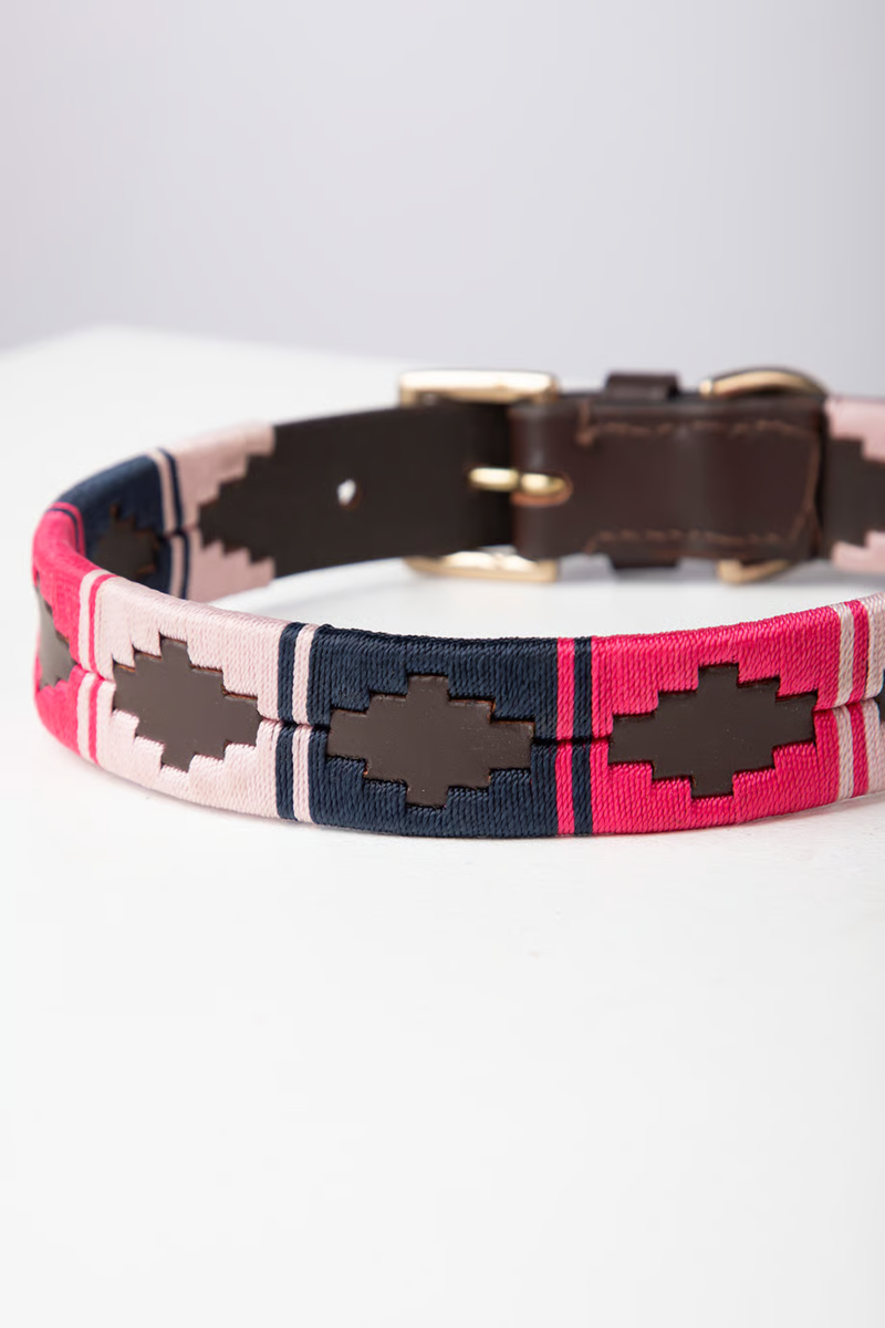 Rydale Polo Belt Dog Collar - Bonbon/Navy/Sorbet-2