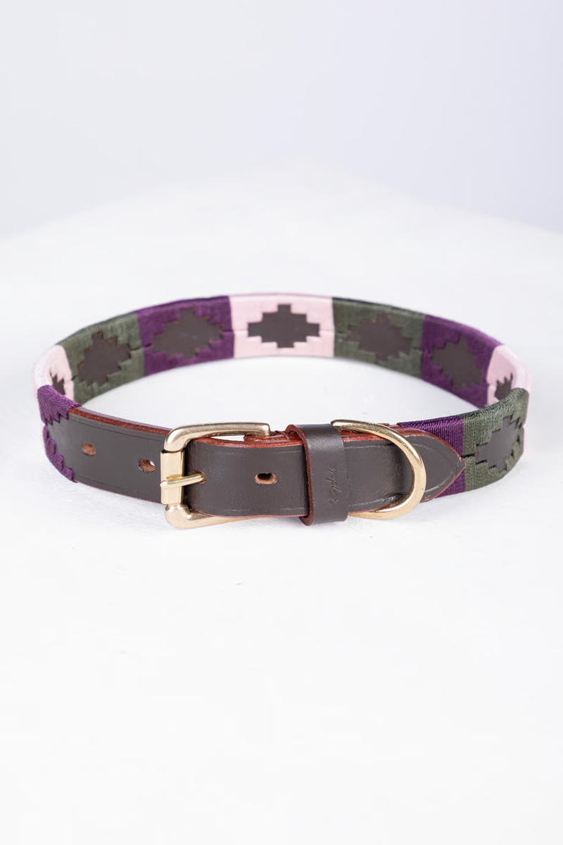 Rydale Polo Belt Dog Collar - Olive/Sorbet/Berry