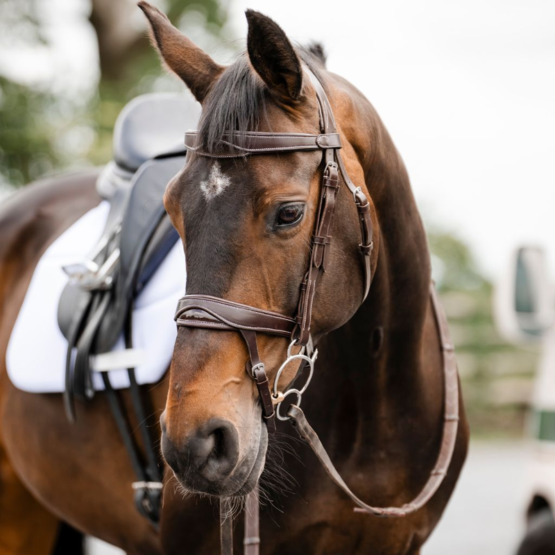 Cameo ComfortPro Anatomic Bridle with Rubber Grip Reins - Chestnut