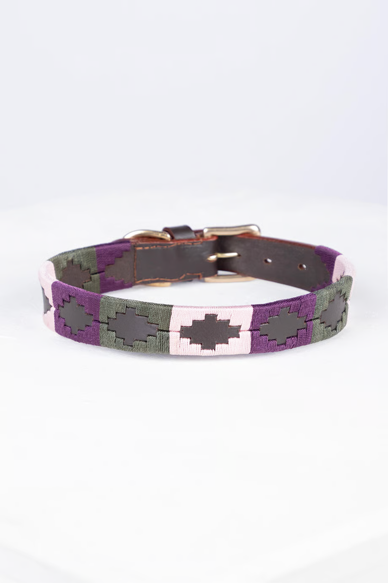 Rydale Polo Belt Dog Collar - Olive/Sorbet/Berry-1