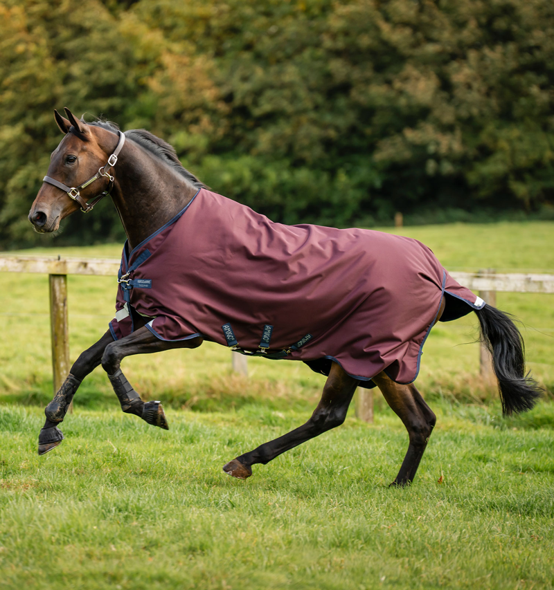 Horseware Amigo 1200D 100g Turnout Rug - Burgundy/Navy and Titanium Grey