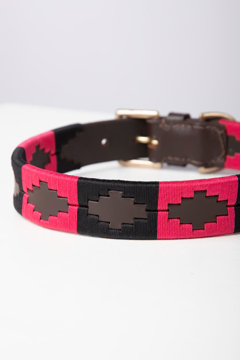 Rydale Polo Belt Dog Collar - Brown/Black/Bonbon-2