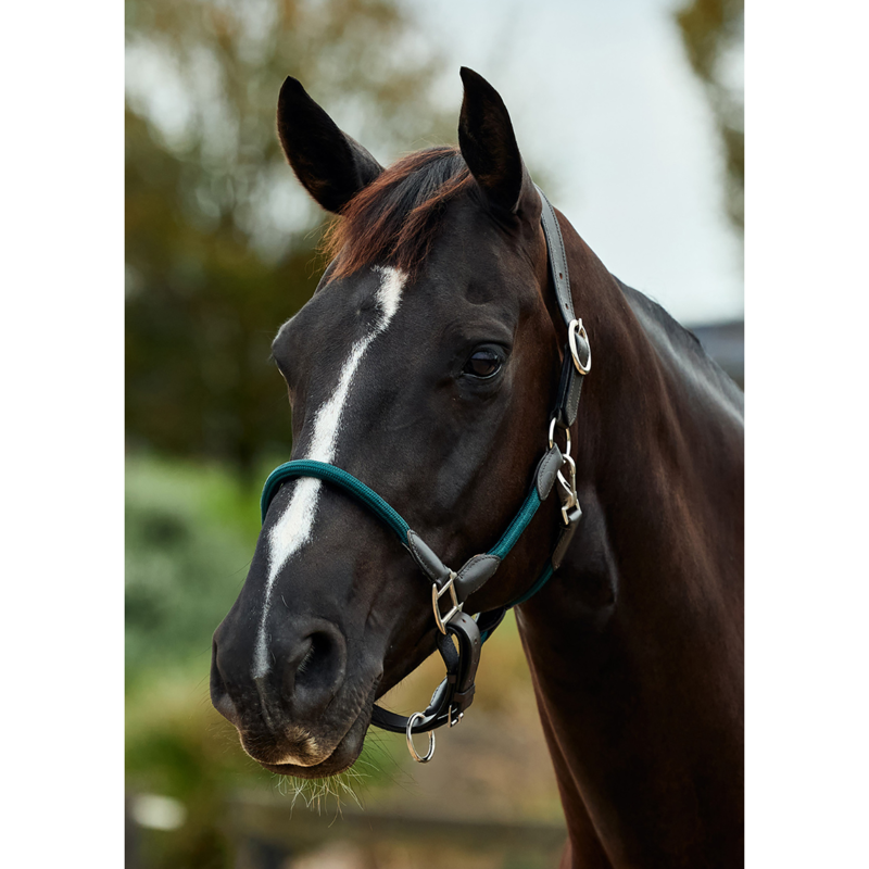 Dublin Leather Rope Headcollar - Hunter Green/Brown