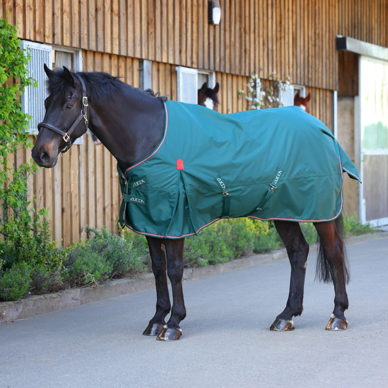 LUCCA 50g Lightweight Turnout Rug - Green