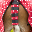 Supreme Products Dotty Fleece Tail Guard - Rich Raspberry Red