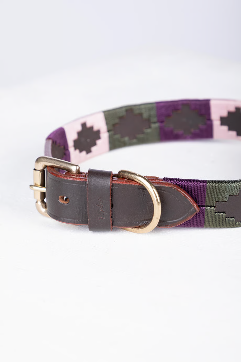 Rydale Polo Belt Dog Collar - Olive/Sorbet/Berry-2