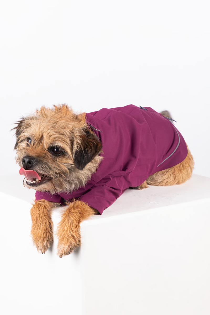 Rydale Yapham Dog Raincoats - Mulberry