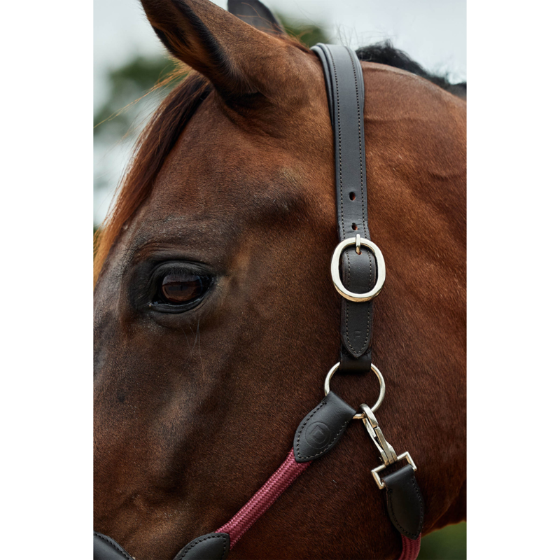 Dublin Leather Rope Headcollar - Burgundy/Brown-1