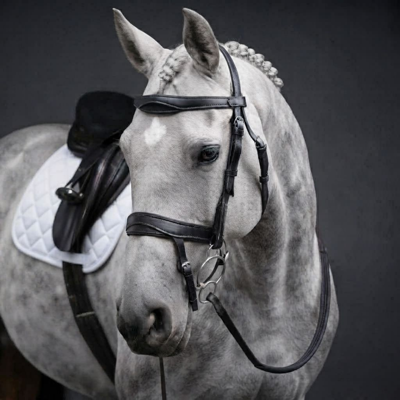 Cameo ComfortPro Anatomic Bridle with Rubber Grip Reins - Black-1