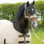 Supreme Products Dotty Fleece Rug - Luxurious Latte