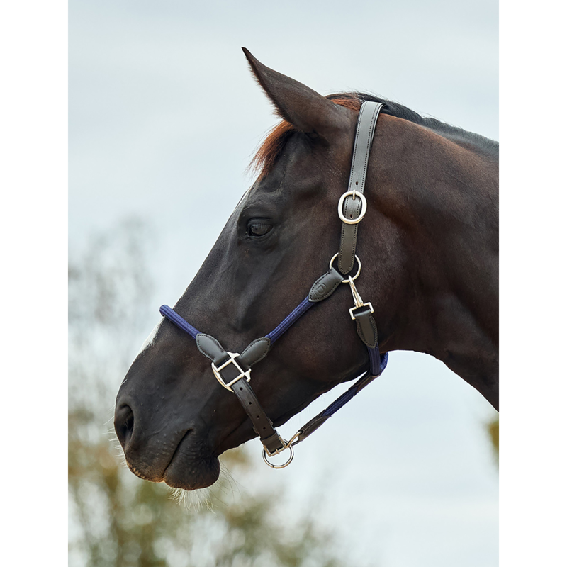 Dublin Leather Rope Headcollar - Navy/Brown-1
