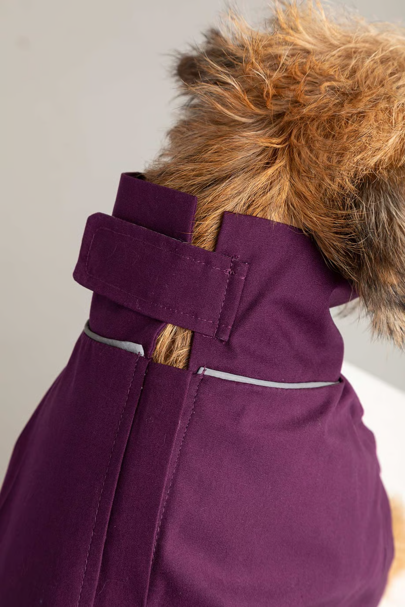Rydale Yapham Dog Raincoats - Berry-3