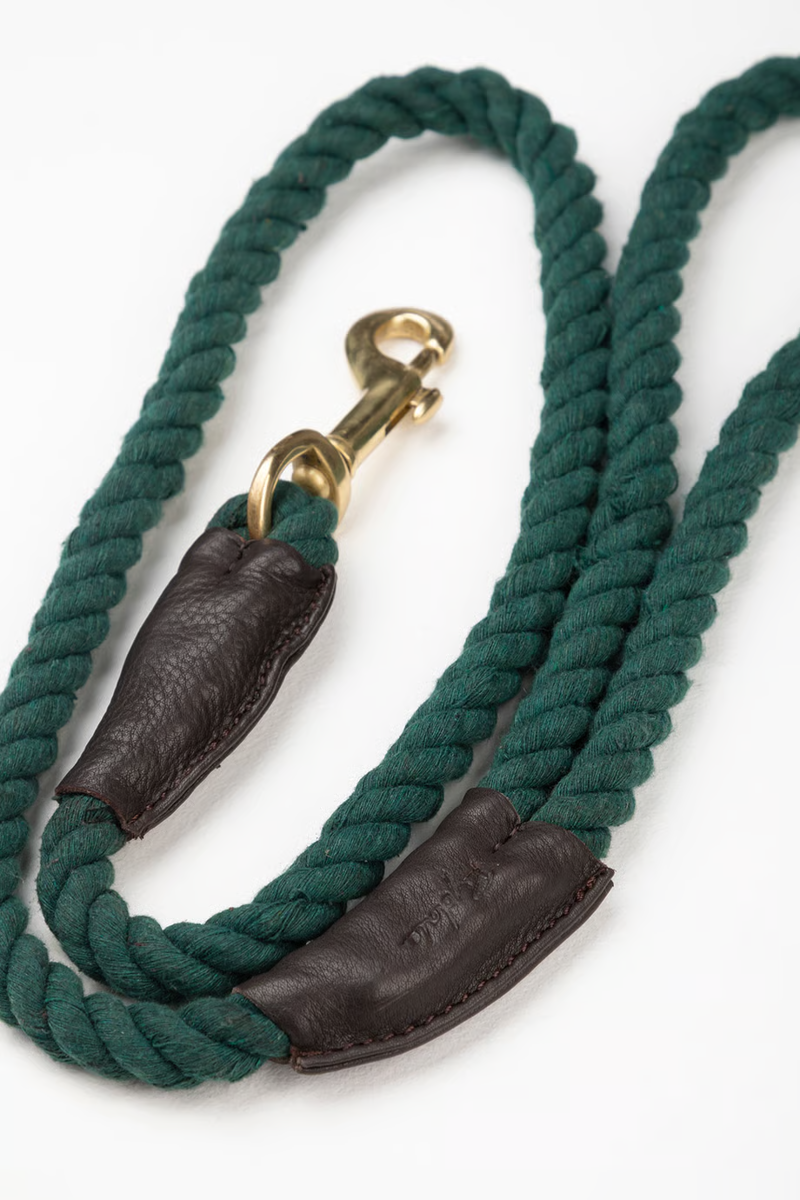 Rydale Rope Yapham Dog Lead - Green-1