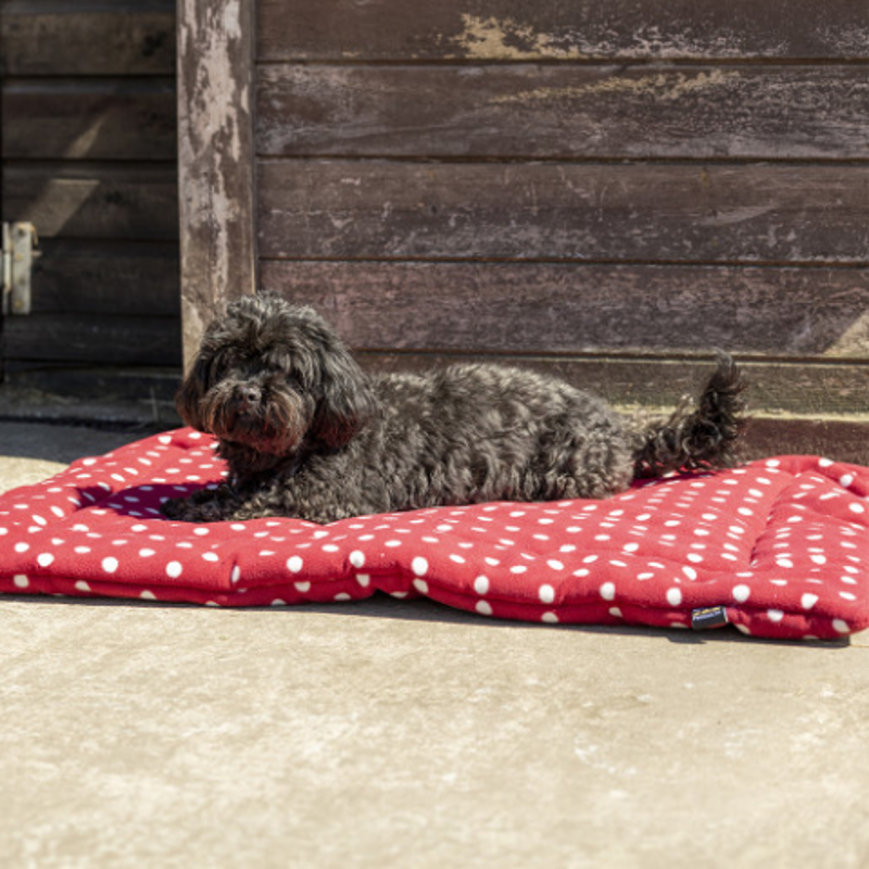 Supreme Products Dotty Fleece Dog Bed - Rich Raspberry
