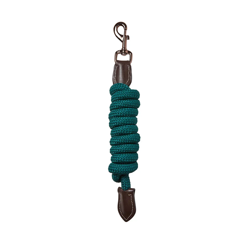 Cameo Rope Leather Headcollar and Leadrope - Evergreen-1