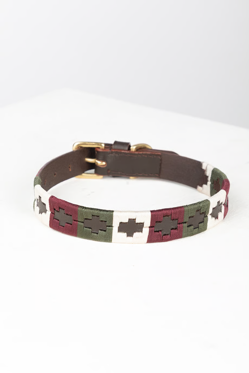 Rydale Polo Belt Dog Collar - Olive/White/Burgundy-1