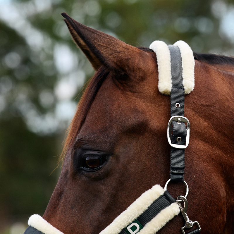 Dublin Soft Fit Headcollar - Grey-1