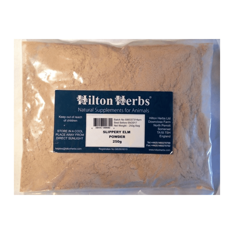 Hilton Herbs Slippery Elm Powder Digestive Supplement Powder - 250g