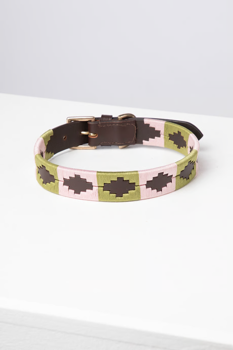 Rydale Polo Belt Dog Collar - Brown/Sage/Sorbet-1