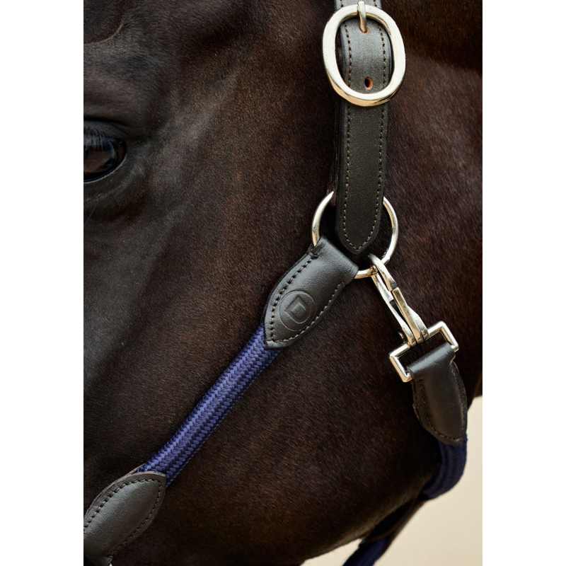 Dublin Leather Rope Headcollar - Navy/Brown-4