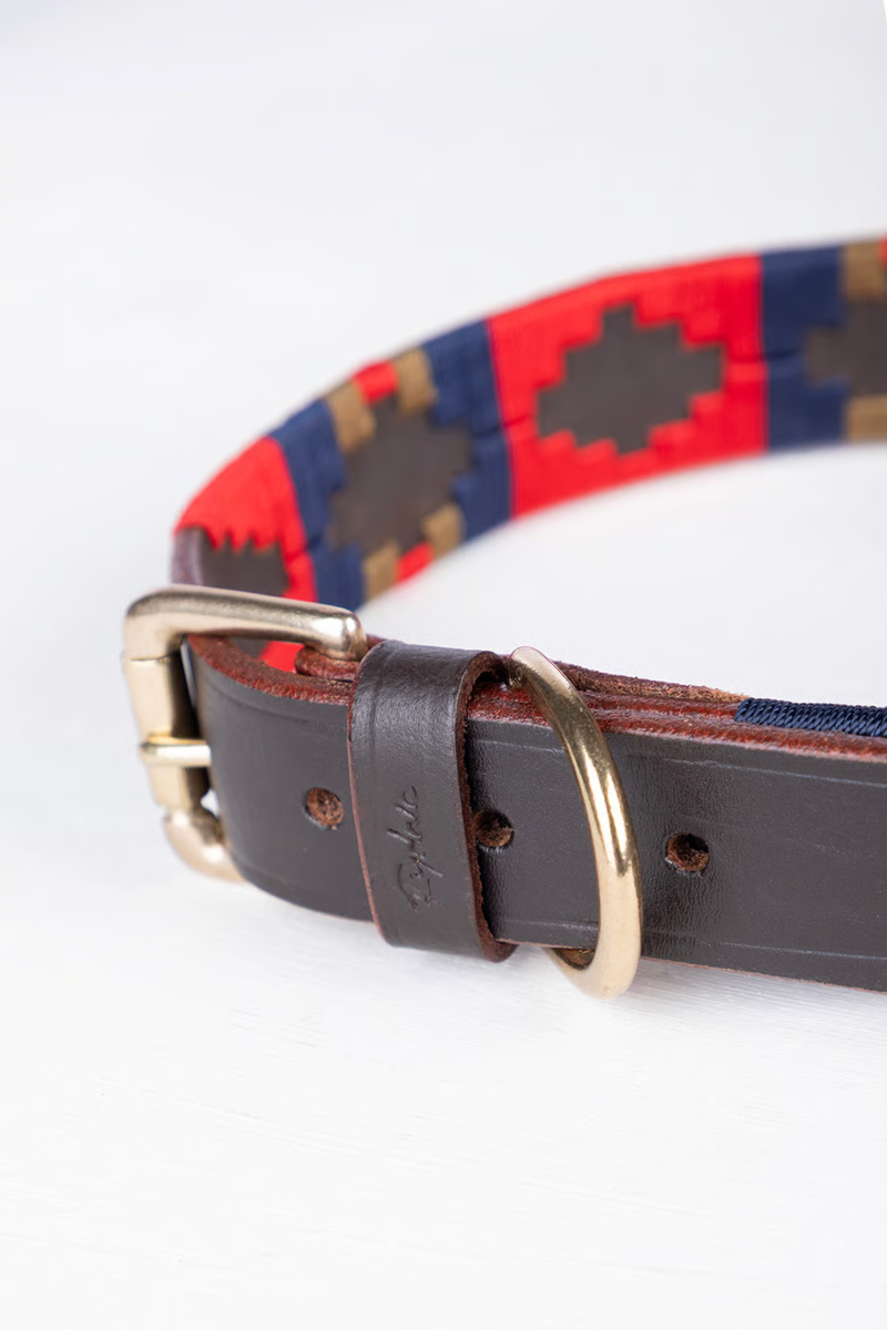 Rydale Polo Belt Dog Collar - Navy/Red/Gold/Red-2