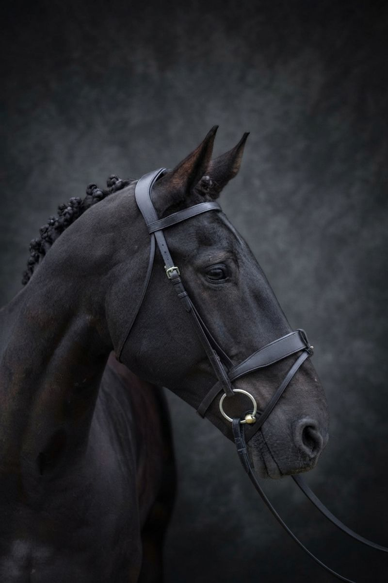 Cameo ComfortPro Show Bridle with Inside Grip Reins - Black-1