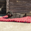 Supreme Products Dotty Fleece Dog Coat - Rich Raspberry