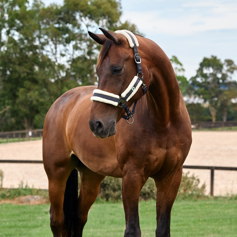 Dublin Soft Fit Headcollar - Navy-2