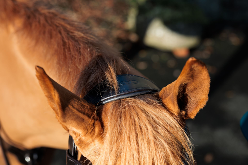 Cameo ComfortPro Grackle Bridle with Rubber Grip Reins - Dark Brown-1