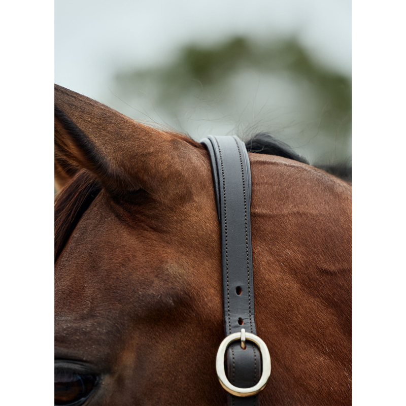 Dublin Leather Rope Headcollar - Burgundy/Brown-2