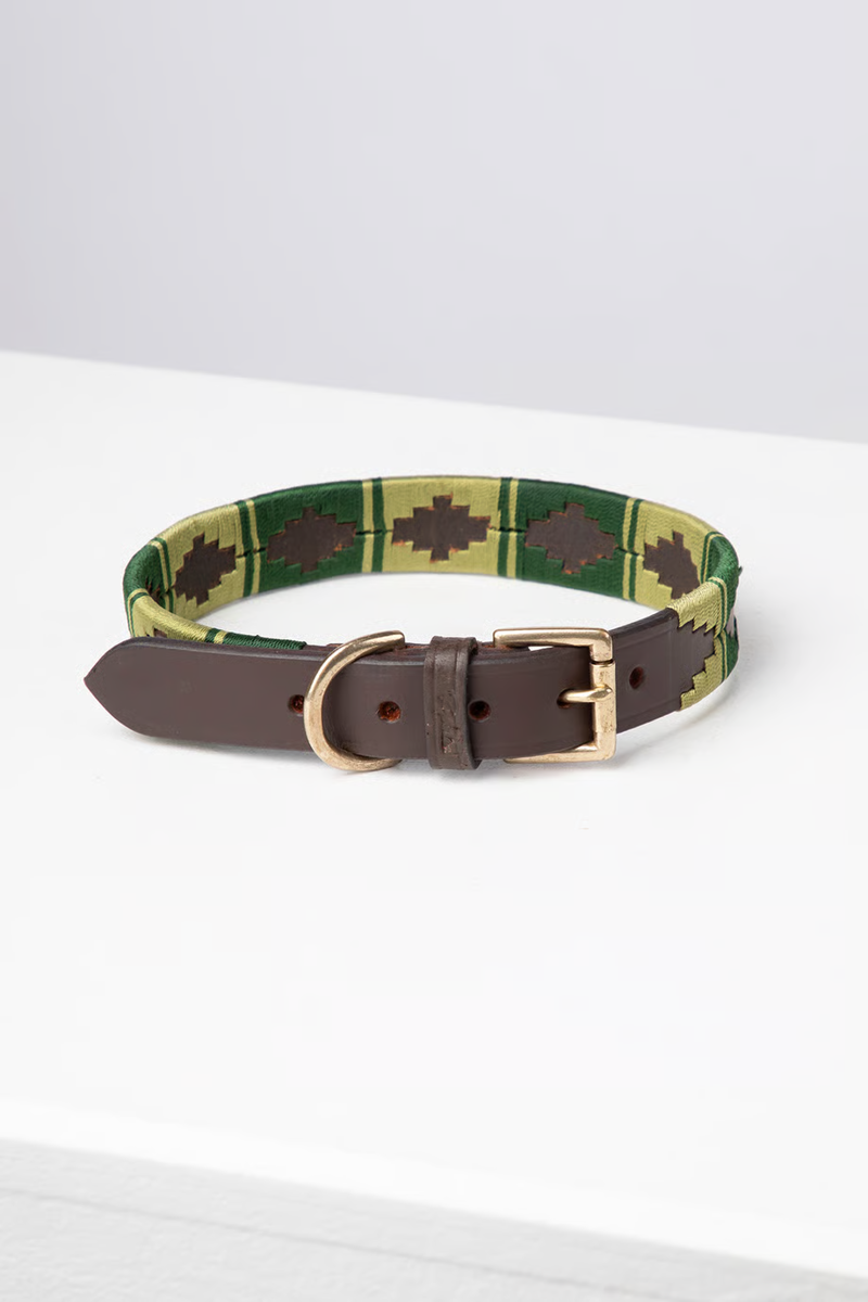 Rydale Polo Belt Dog Collar - Brown/Green/Olive