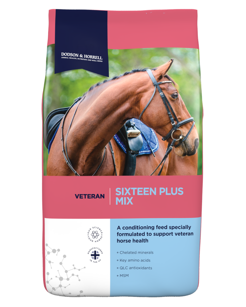 Dodson and Horrell Sixteen Plus Mix Conditioning Feed - 20kg