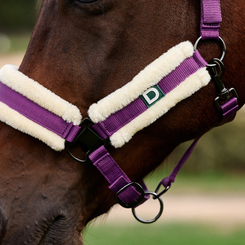 Dublin Soft Fit Headcollar - Dark Purple-2