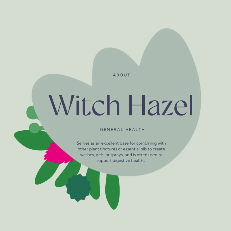 Hilton Herbs Witch Hazel Cooling and Astringent Lotion - 1 litre-1