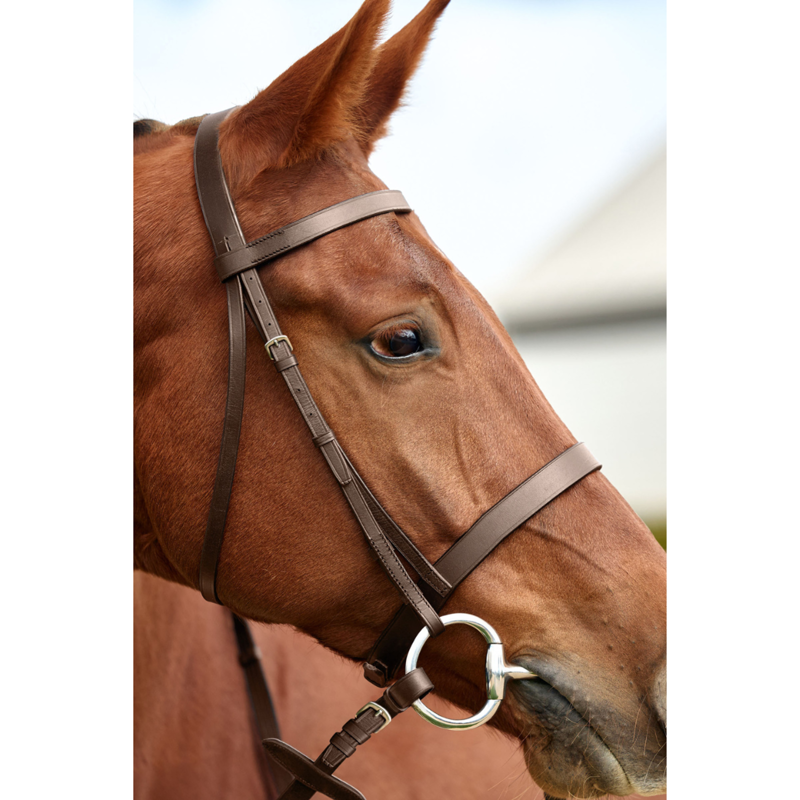 Dublin Flat Cavesson Bridle - Brown-2