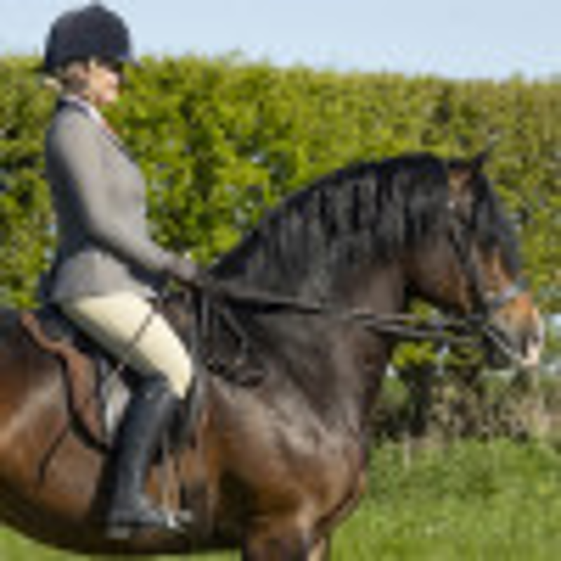 Supreme Products Junior Champ Show Rider Tweed Style Jacket-2