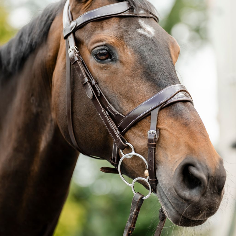 Cameo ComfortPro Anatomic Bridle with Rubber Grip Reins - Dark Brown-1