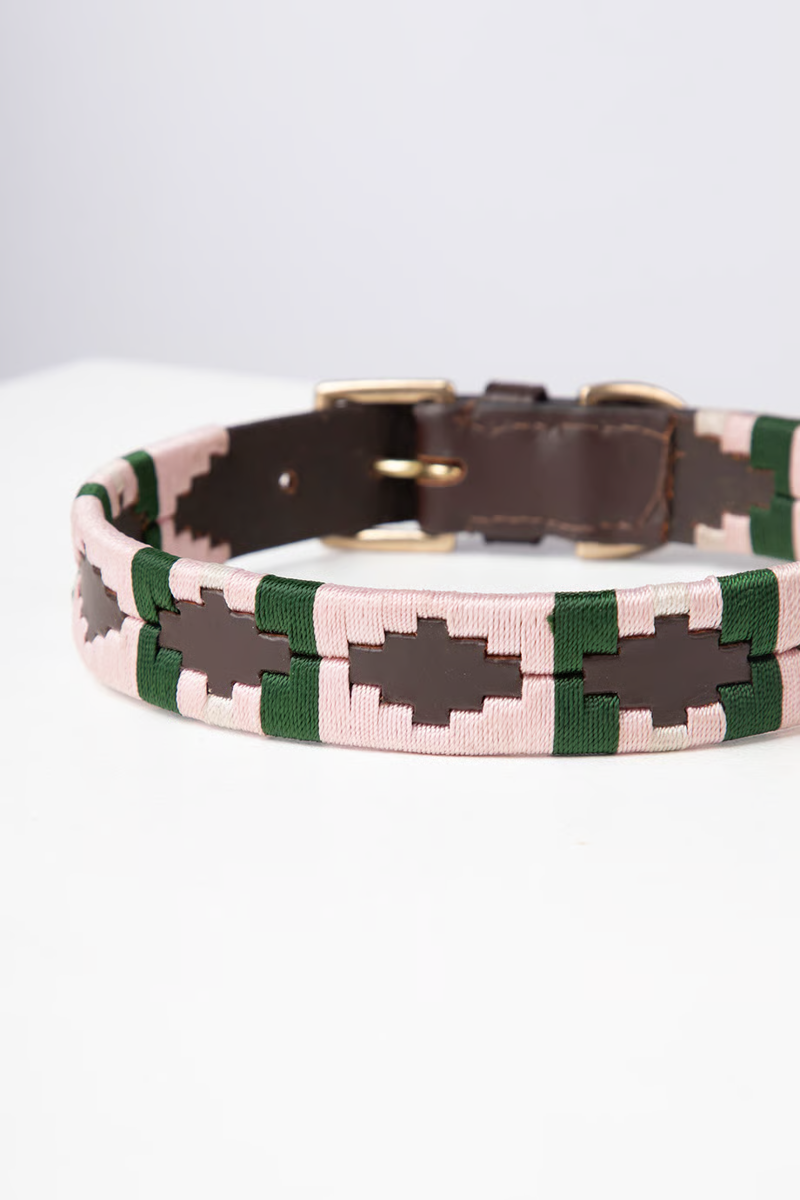 Rydale Polo Belt Dog Collar - Brown/Sorbet/Olive-2