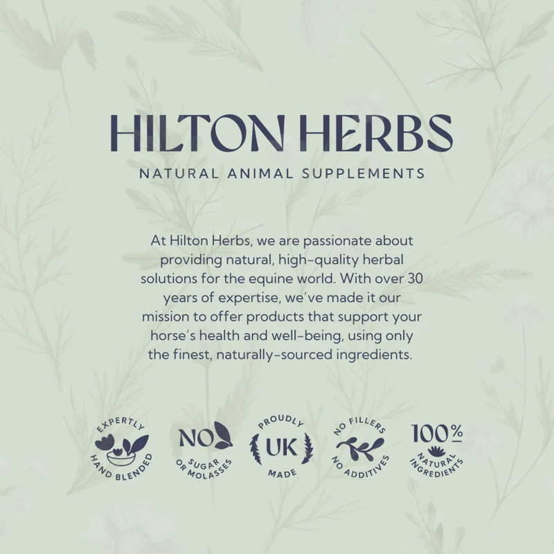 Hilton Herbs Witch Hazel Cooling and Astringent Lotion - 1 litre-5