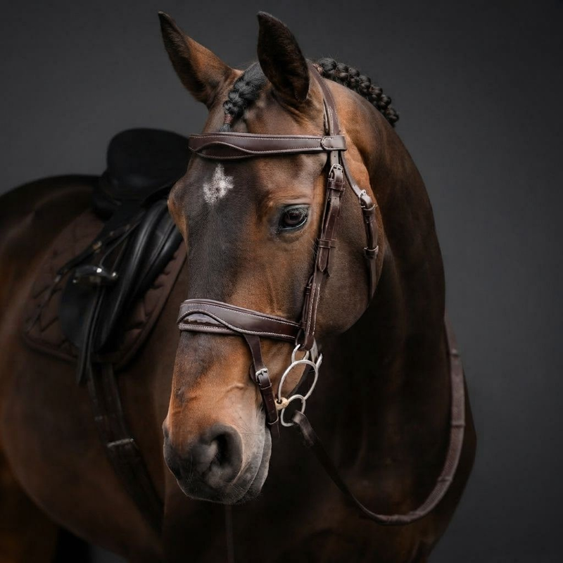 Cameo ComfortPro Anatomic Bridle with Rubber Grip Reins - Chestnut-2