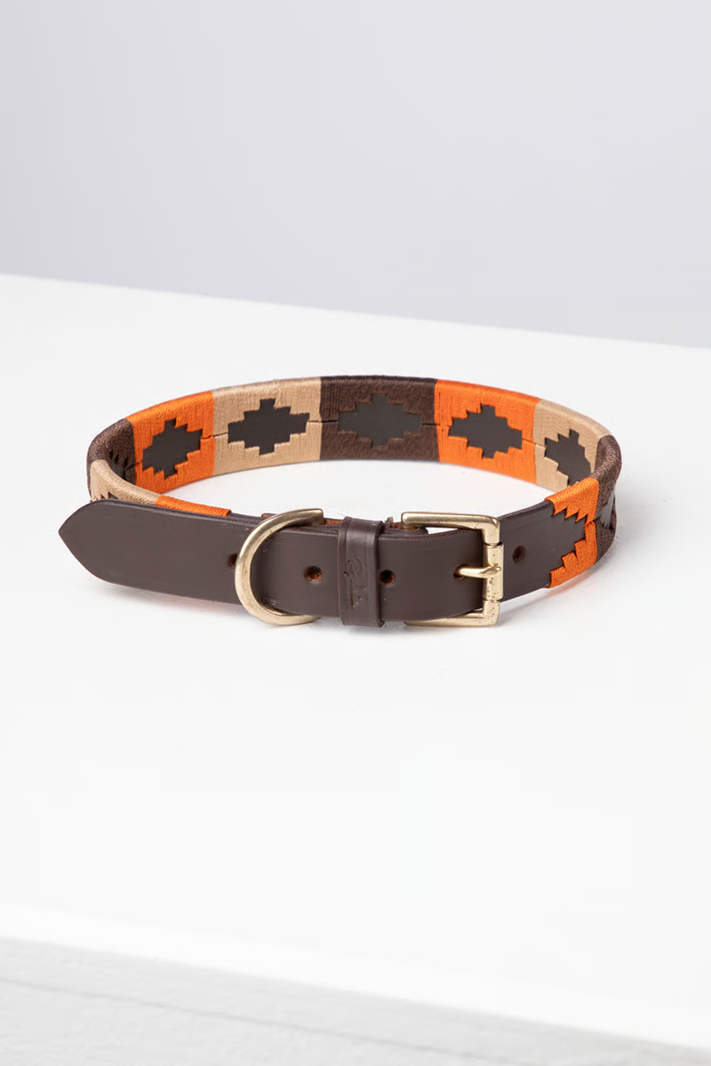 Rydale Polo Belt Dog Collar - Burnt Orange/Brown/Beige