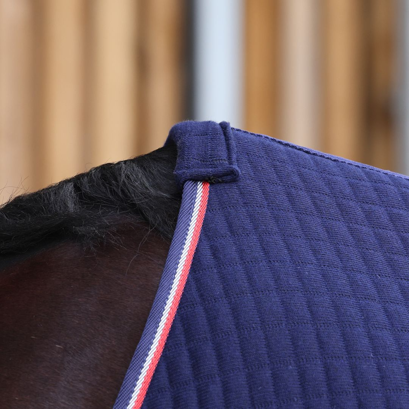 LUCCA Wicking Cooler Rug - Navy-2