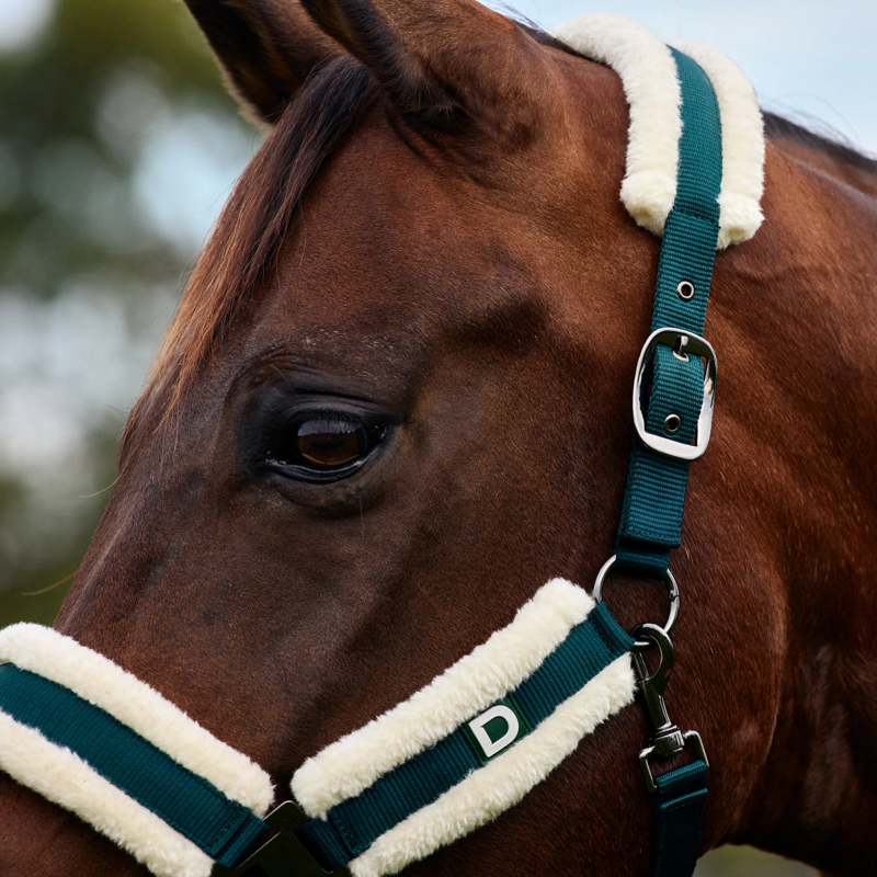 Dublin Soft Fit Headcollar - Green-1