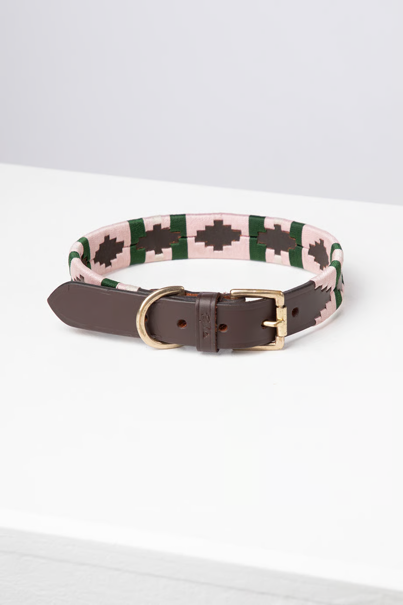 Rydale Polo Belt Dog Collar - Brown/Sorbet/Olive