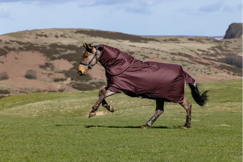 LeMieux Arika Ripstop 200g Turnout Rug - Bramble-6