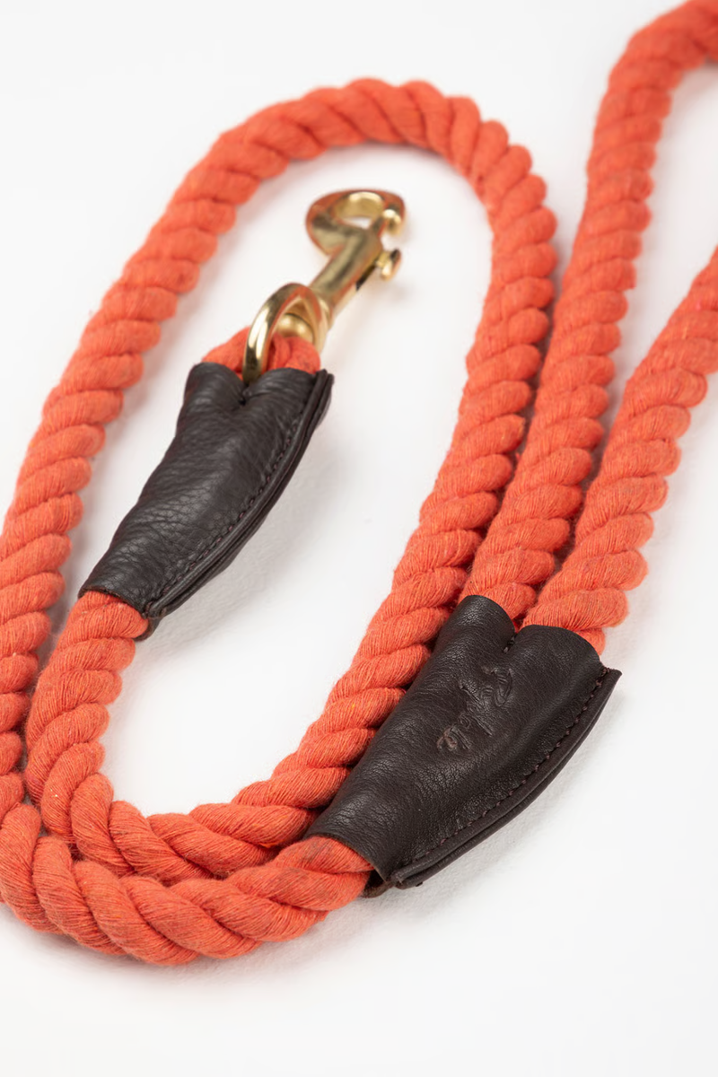 Rydale Rope Yapham Dog Lead - Burnt Orange-1