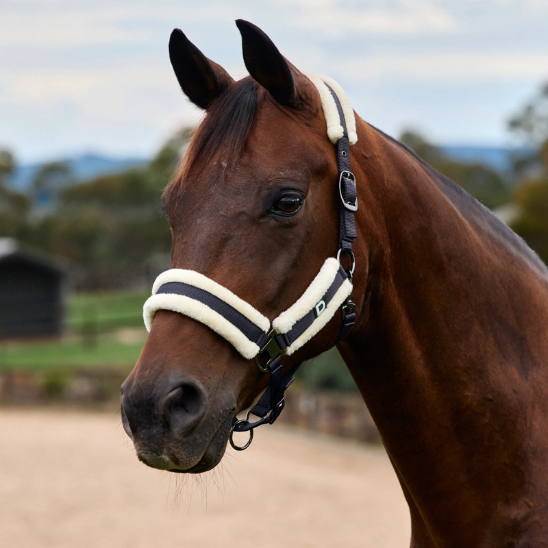 Dublin Soft Fit Headcollar - Navy
