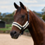 Dublin Soft Fit Headcollar - Navy
